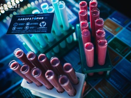 ������������31