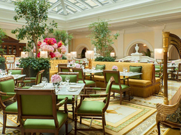 ������ �������� (Tea Lounge)