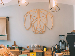 �������� ����