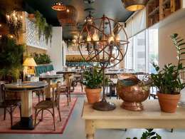 �������� ���