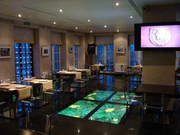 ���� ����������