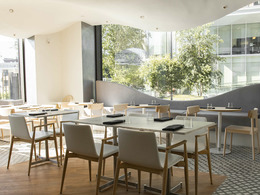 ������ �����