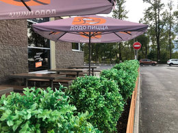 ���� �����