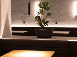 �������