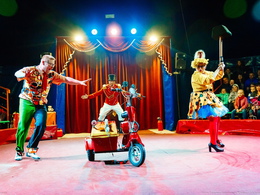 ���� �������