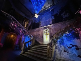 ����������