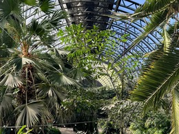 ��������� ������������ ����