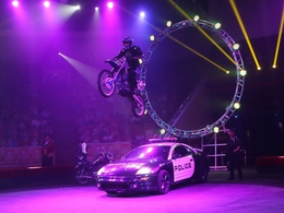 ���� ����������, ������ (� ������ �������������)