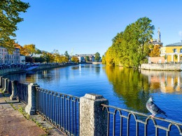 ������ �1 - ���������� ���� �������� 71