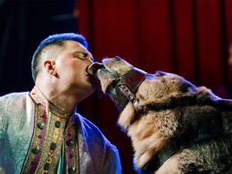 ����-������  ��������, ��������� (���  ���������)