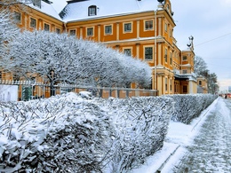 ������ ���������