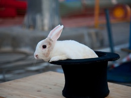 ���� ��������