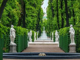 ������ ���