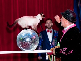 ���� ��������