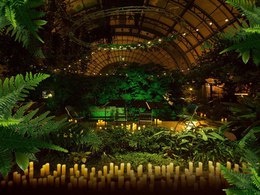 Storm Cellos. ���-���� � �������� ��� ������ � ���������