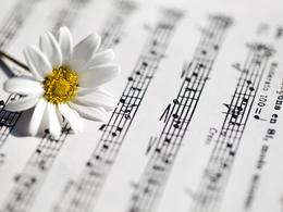 ������� �������� ������ ����������� �������� ������������