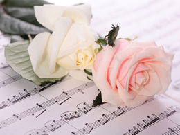 ������� ������� ������