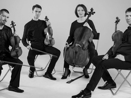 Vacuum Quartet