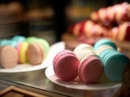 ���� ���� ������