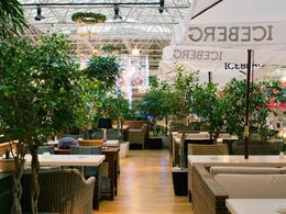 ���� ����