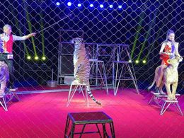 ���� �������� ��������  �. �������� (����. �-�  ������� ����)