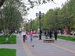 ���� ��. ������ ������