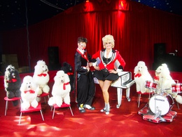 ����-������ �������� ���