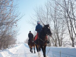 ������� ������� "GoRa"