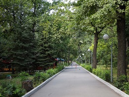 ���������� ����