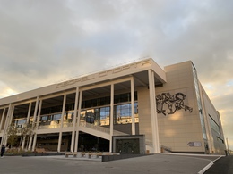 ��� ������� ������ ��. �. ���������