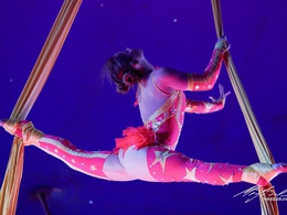 ����-������ �������� ���