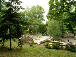 ����������� ���� (���� ����� ��������)