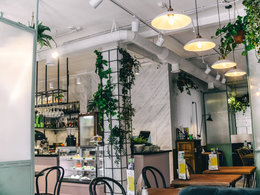 ���� ��������