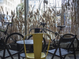 ���堗 ��� �����