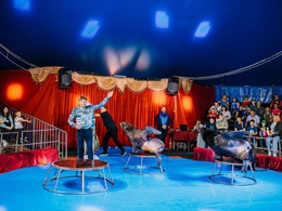 ���� ����������