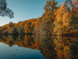 ������� ����������� �������