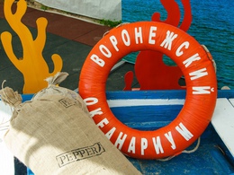 ����������� ���������� (���������� � ���������)