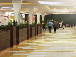 Meganom (�������)