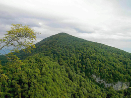 ���� ����