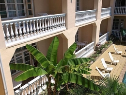 ����� �����