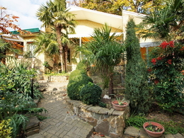 ������� ������