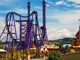 ���� ����