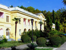 �����������