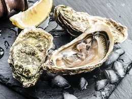 ���� ���� �������