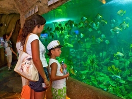 ���������� ������ ��������