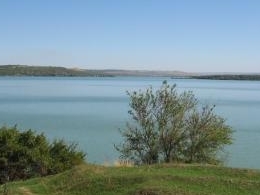 ������������ �������������