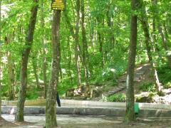 ��������� ������ ����, ��� ������������