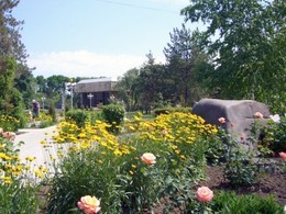 ���������� ������������� �����