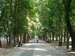 ������� ��. �������� �.�. ��������