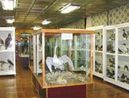 ������������� ����� �������������� ���������������� ������������